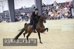 23R13_13373 proof