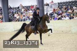 23R13_13374 proof