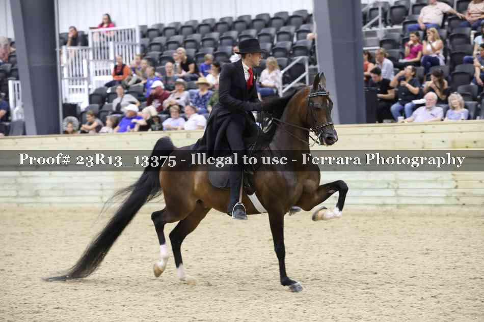 Proof 23R13_13375