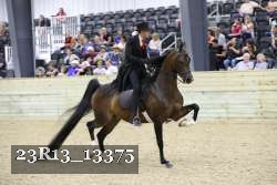 23R13_13375 proof
