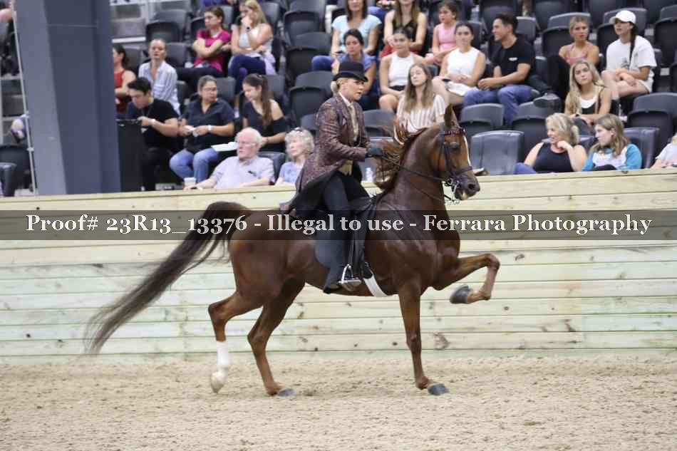 Proof 23R13_13376