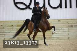 23R13_13377 proof