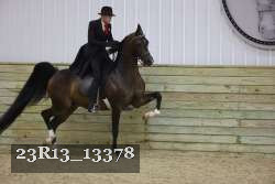 23R13_13378 proof
