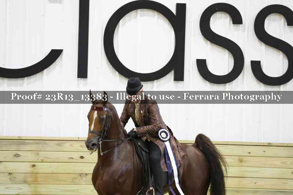 Proof 23R13_13383
