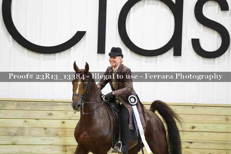 Proof 23R13_13384