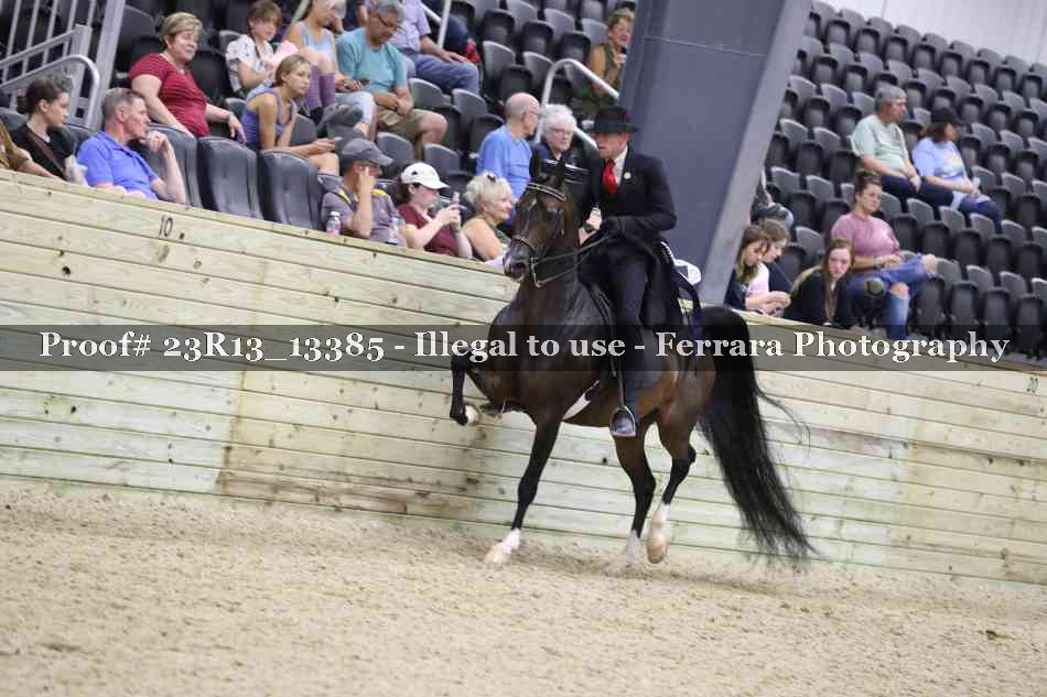 Proof 23R13_13385