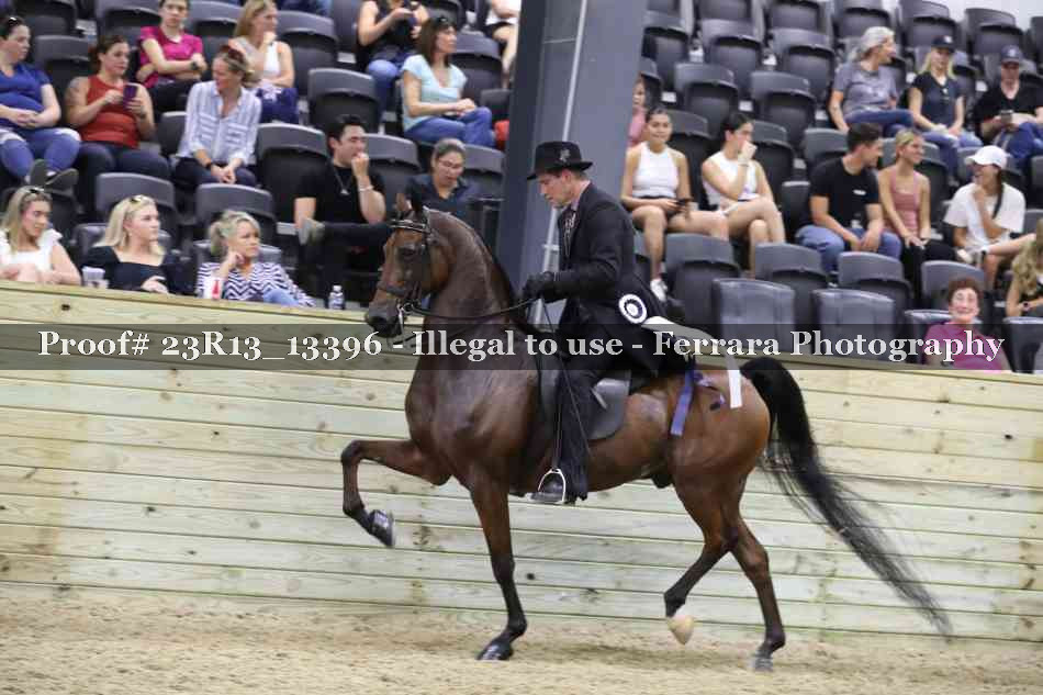 Proof 23R13_13396