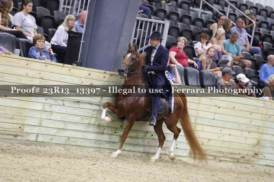 Proof 23R13_13397