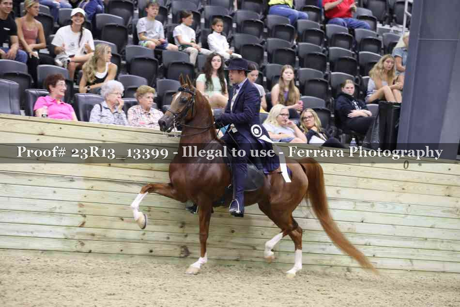 Proof 23R13_13399