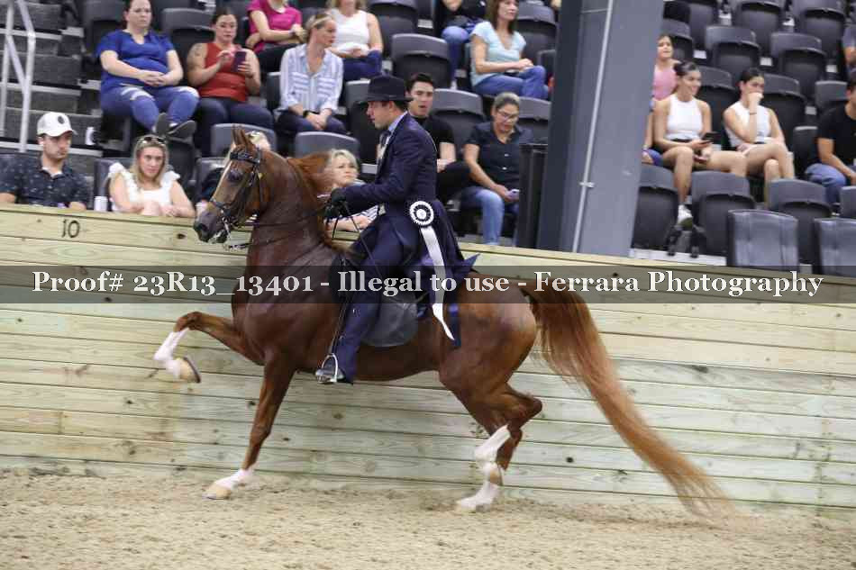 Proof 23R13_13401