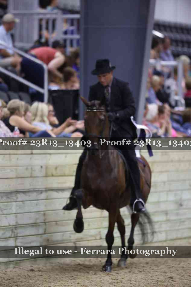 Proof 23R13_13403