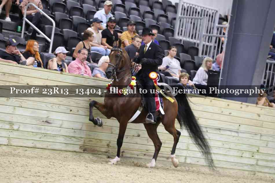 Proof 23R13_13404