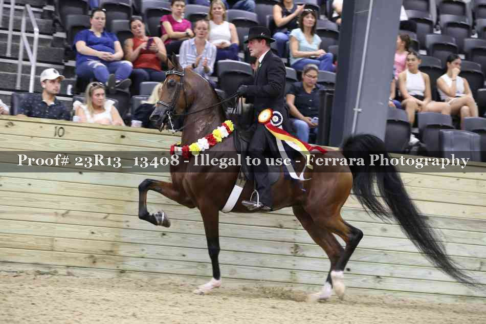 Proof 23R13_13408