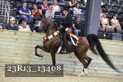 23R13_13408 proof
