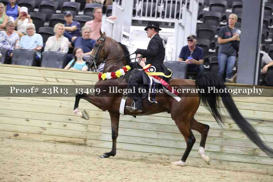 Proof 23R13_13409