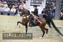 23R13_13409 proof