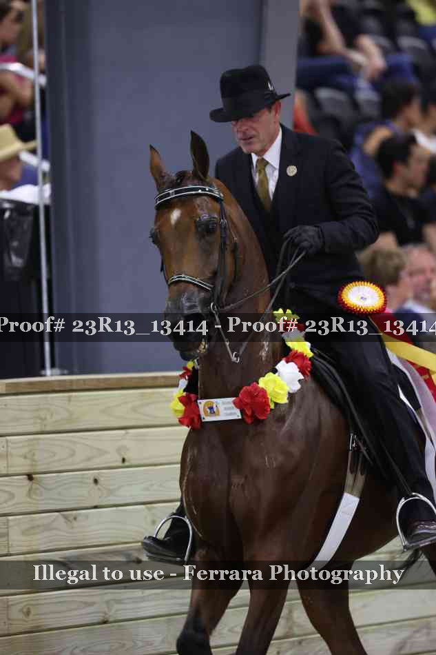 Proof 23R13_13414