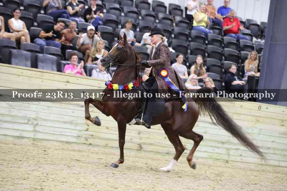 Proof 23R13_13417