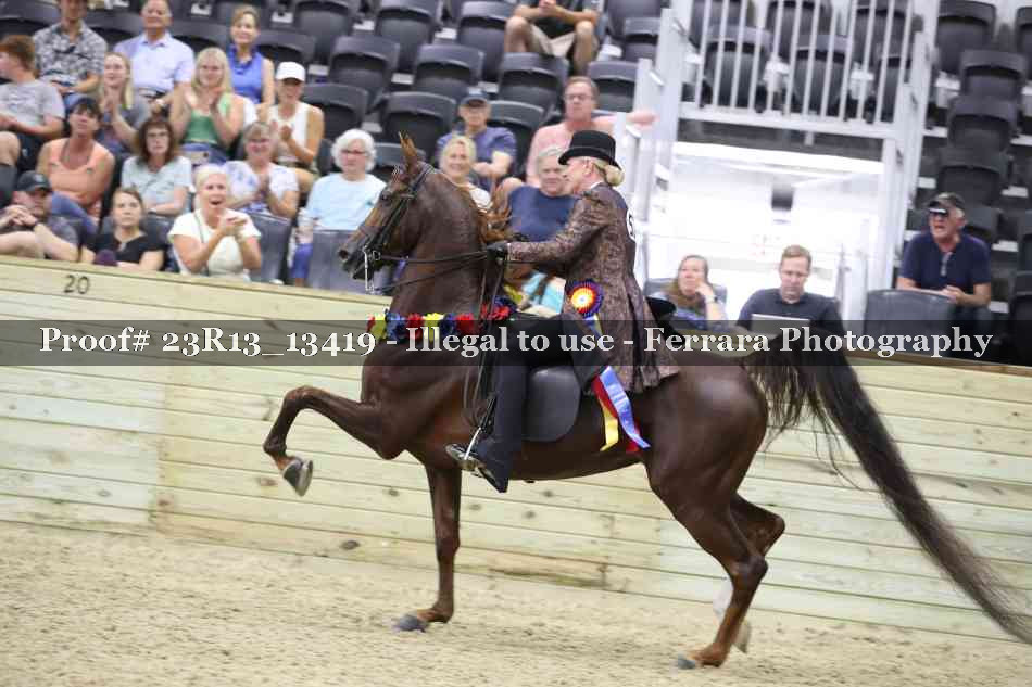 Proof 23R13_13419