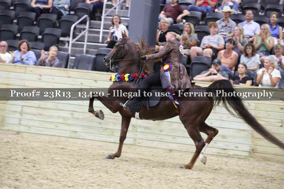 Proof 23R13_13420