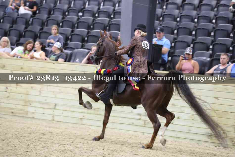 Proof 23R13_13422