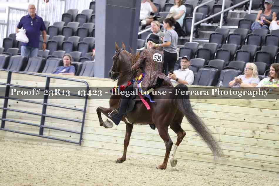 Proof 23R13_13423