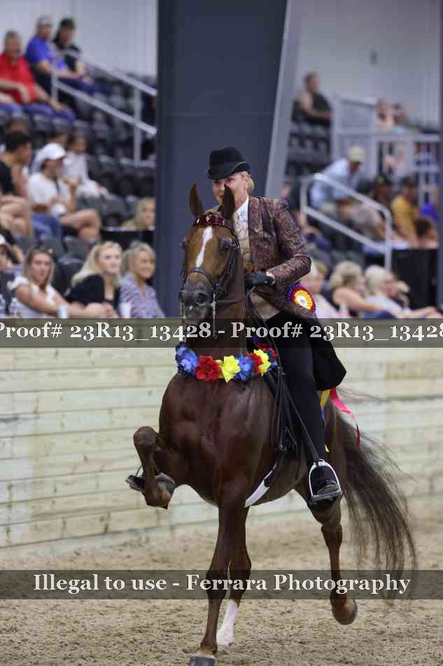 Proof 23R13_13428