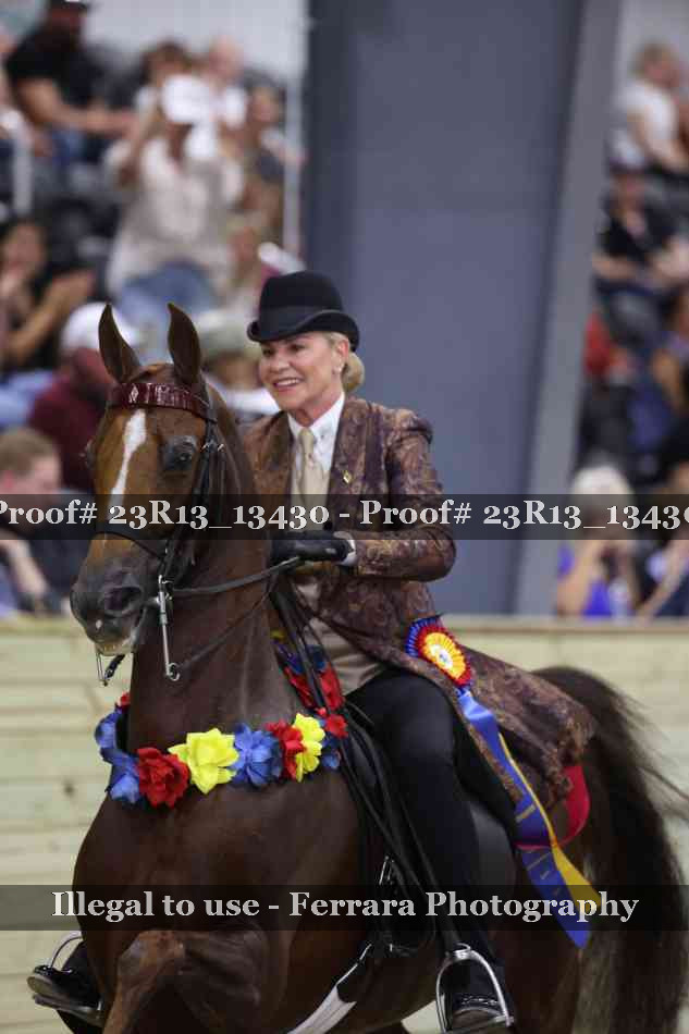 Proof 23R13_13430