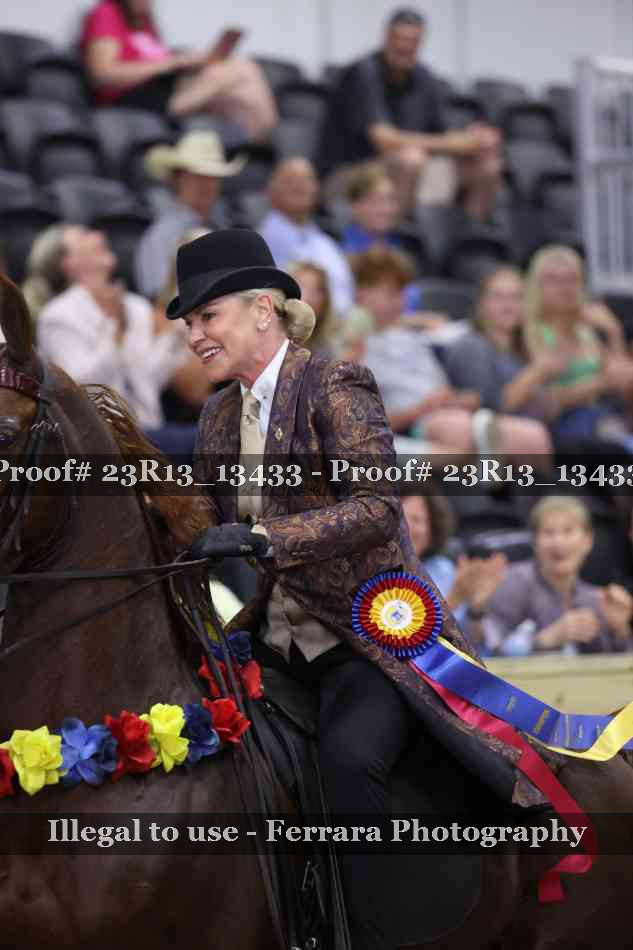 Proof 23R13_13433