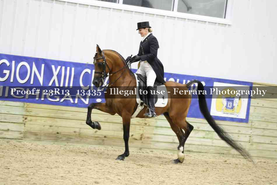 Proof 23R13_13435