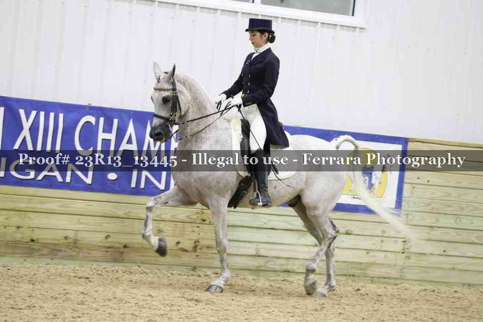 Proof 23R13_13445