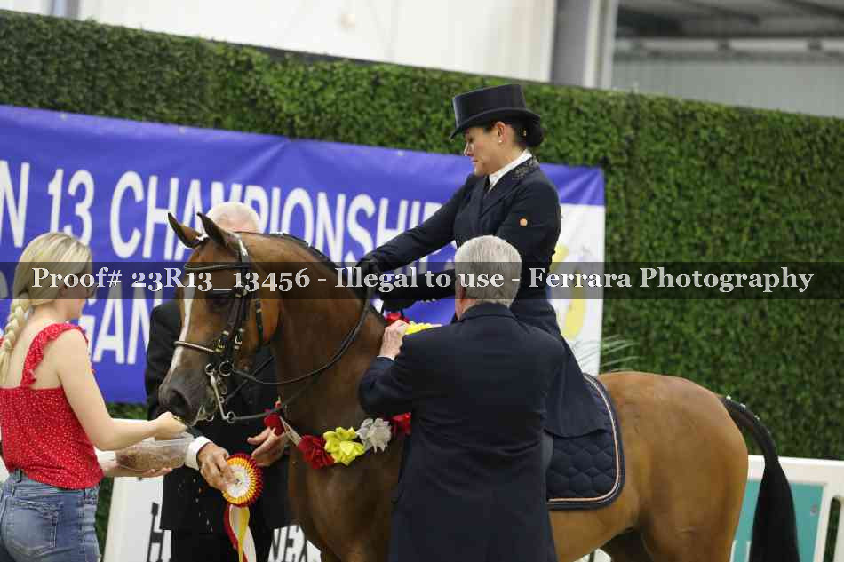 Proof 23R13_13456