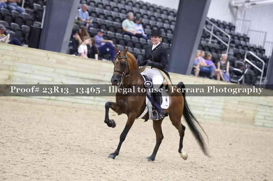 Proof 23R13_13465