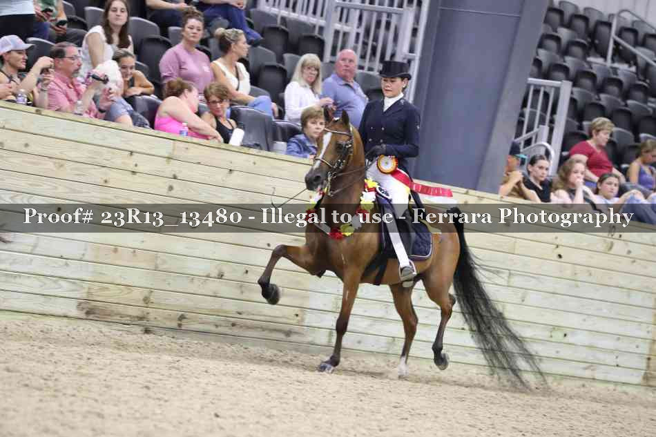 Proof 23R13_13480
