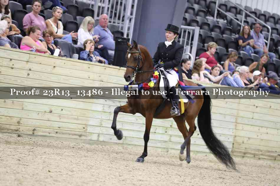 Proof 23R13_13486