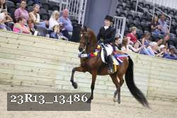 23R13_13486 proof