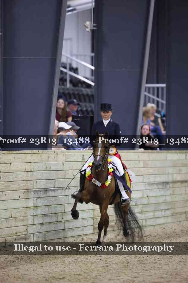 Proof 23R13_13488