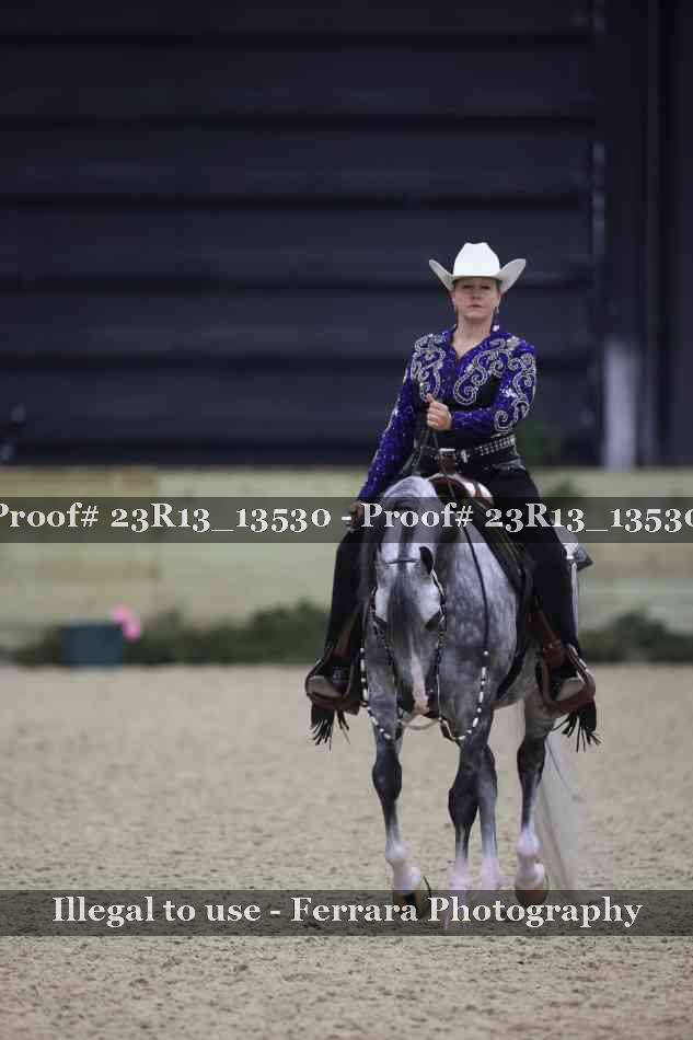 Proof 23R13_13530