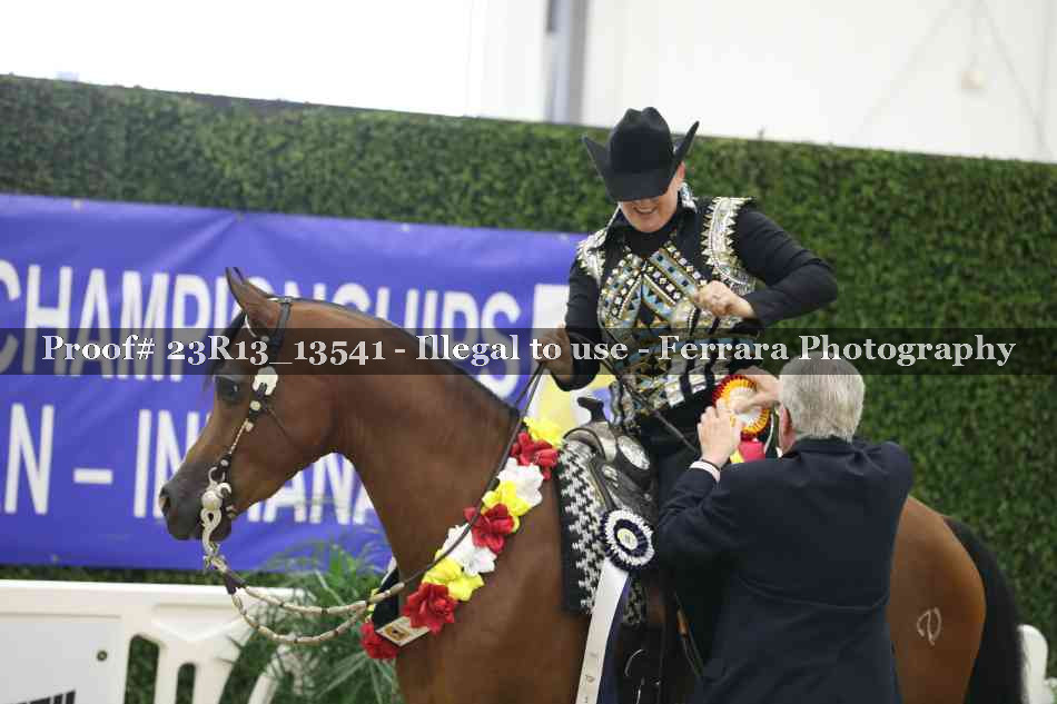 Proof 23R13_13541