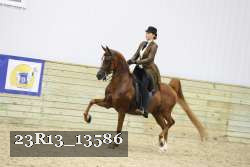 23R13_13586 proof