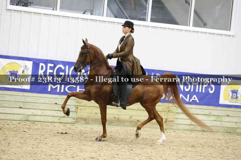 Proof 23R13_13587