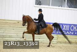 23R13_13592 proof