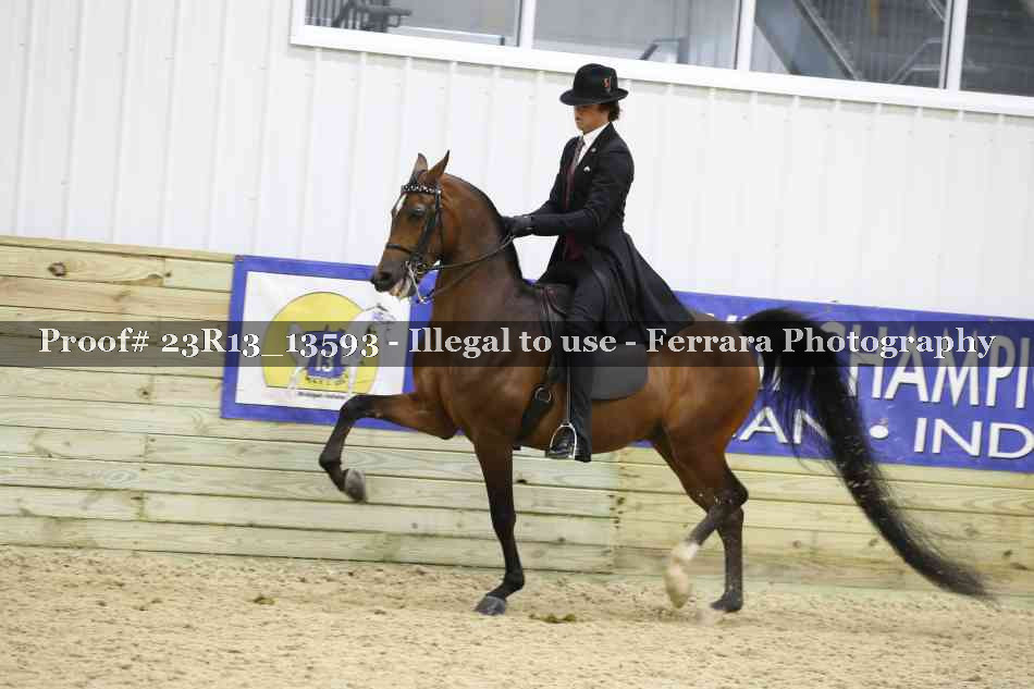 Proof 23R13_13593