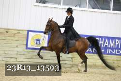 23R13_13593 proof