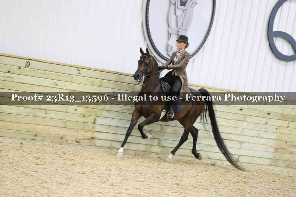 Proof 23R13_13596