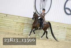 23R13_13596 proof