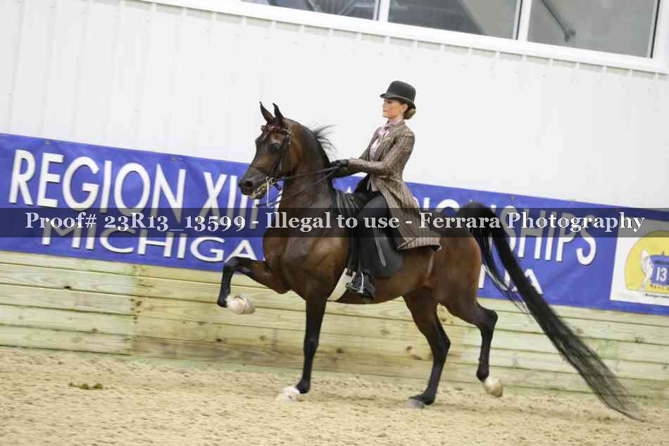 Proof 23R13_13599