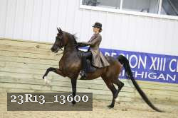 23R13_13600 proof