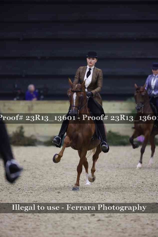 Proof 23R13_13601