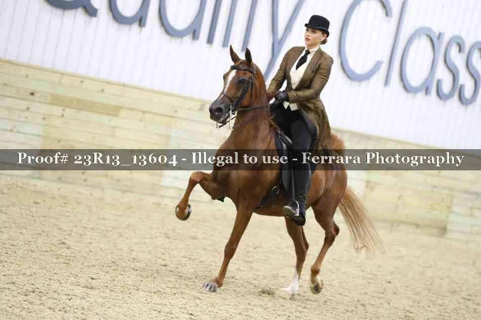 Proof 23R13_13604